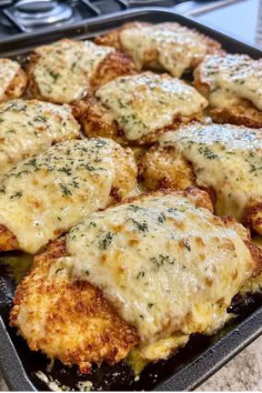 Mayonnaise and Parmesan Chicken